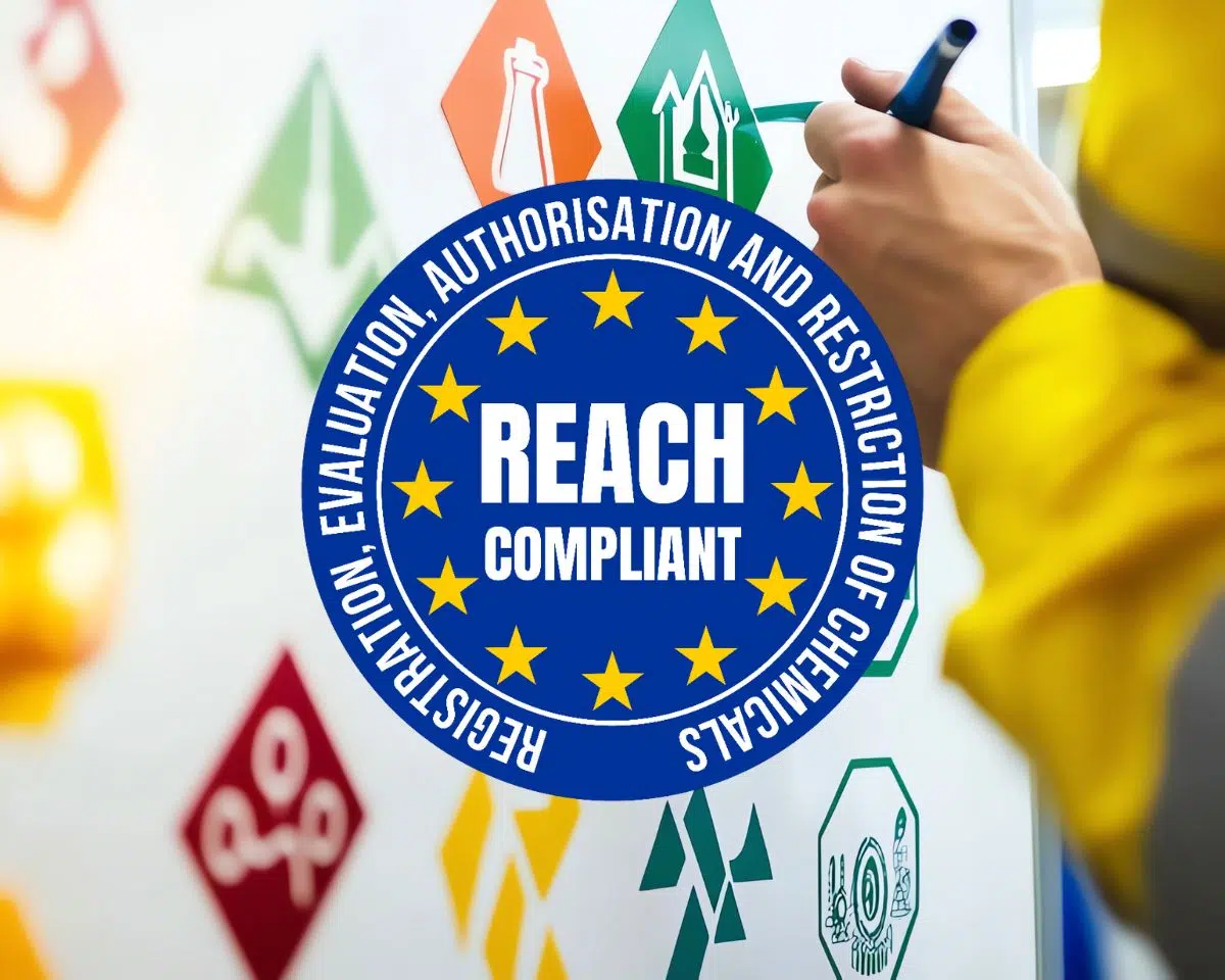 REACH et ses conséquences pour les risques Santé-Sécurité-Environnement